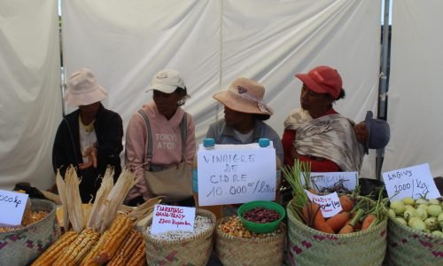 Foire agricole d’Ambohibary