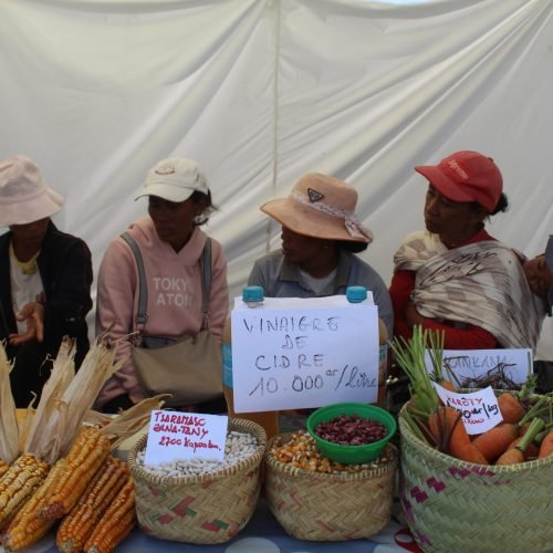Foire agricole d&rsquo;Ambohibary