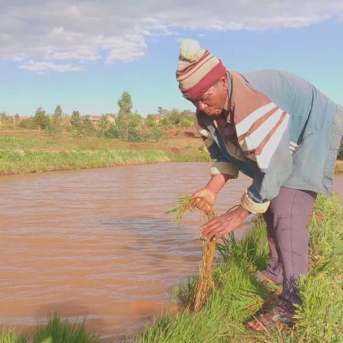 Rakotomalala, 60 ans, Communautés Ecclésiales de Base, Antsoso